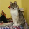 Отзыв от Инна Уварова